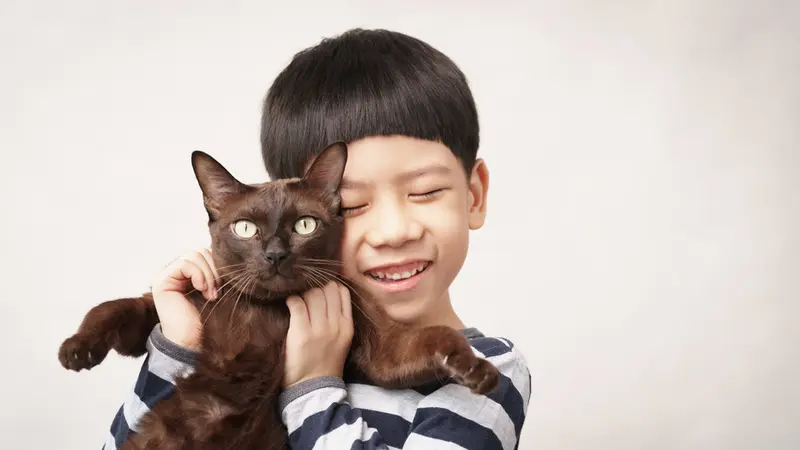 Rahasia Bikin Kucing dan Si Kecil Jadi Teman Baik Sampai Dewasa