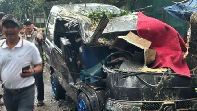 Pohon tumbang timpa pengemudi mobil di Bandung.
