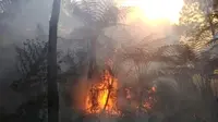 Kebakaran Gunung Slamet di Purbalingga, Jawa Tengah. (Foto: Liputan6.com/Perhutani/Muhamad Ridlo)