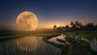 5 Fenomena Langit September 2026, Ini Cara Menikmati Keindahan Hujan Meteor hingga Harvest Moon