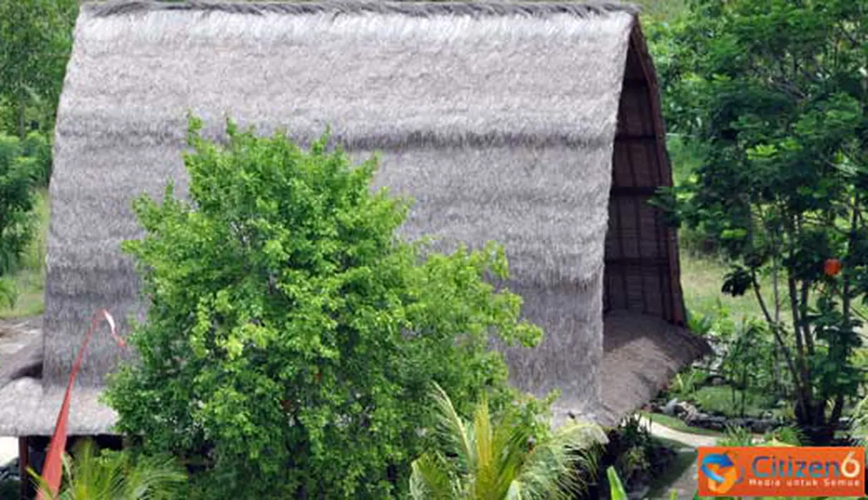 Citizen6, Lombok: Kampung adat Kabupaten Lombok Tengah. (Pengirim: Muhammad Husni)