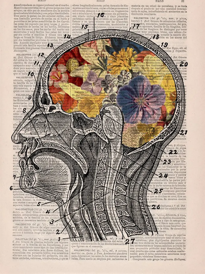 [Bintang] 10 Ilustrasi Anatomi Tubuh Motif Bunga yang Digores di Buku Tua