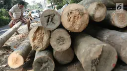 Pedagang menyerut batang pohon pinang yang dijual di kawasan Manggarai, Jakarta, Kamis (3/7). Pohon pinang tersebut dijual seharga Rp900ribu perbatang, yang banyak digunakan untuk meramaikan perlombaan perayaan HUT RI. (Liputan6.com/Immanuel Antonius)