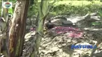Pria yang melakukan aksi bakar diri dengan kekasih gelap, meninggal dunia lantaran luka bakar yang parah.