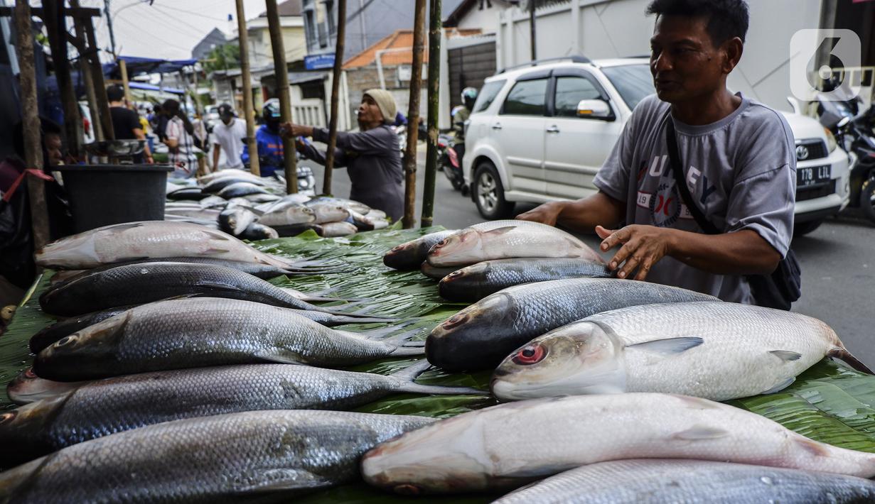 Pedagang merapikan ikan bandeng saat menunggu pembeli di kawasan Rawa Belong, Jakarta Barat, Rabu (10/2/2021). Jelang Tahun Baru Imlek 2021, para pedagang ikan bandeng mulai bermunculan di Rawa Belong. (Liputan6.com/Johan Tallo)
