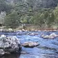 Masyarakat lokal menentang penambangan emas di Karangahake Gorge, Selandia Baru (Wikipedia)