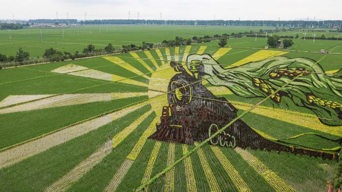 Foto udara gambar kereta api yang dibuat dengan menggunakan varietas padi yang berbeda terlihat di sebuah sawah di Shenyang, provinsi Liaoning, China, 24 Juni 2020. Saat ini pembuatan karya lukis di sawah sudah menjadi tradisi para petani di daerah tersebut. (STR/AFP)