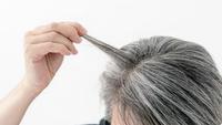 Fakta Mengejutkan di Balik Warna Perak Uban Anda