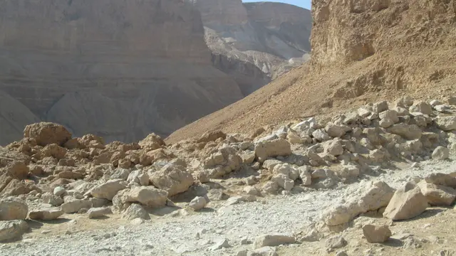 Negev