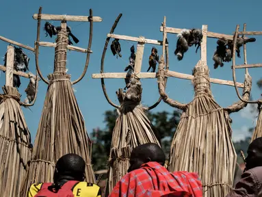 Pemuda dari suku Maasai mengenakan kostum ritual usai disunat di dekat Kilgoris, Kenya (20/12). Mereka melakukan ritual ini pada hari terakhir acara penyunatan yang digelar setiap tahunnya. (AFP Photo)