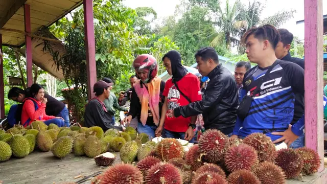Durian Lahong