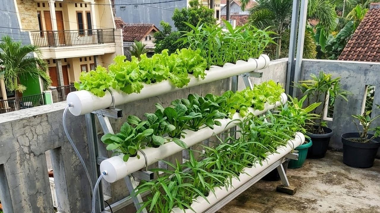 7 Kesalahan Menata Kebun Mini di Teras yang Bikin Tanaman Tidak Tumbuh ...
