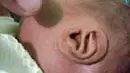 liputan6