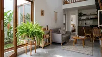 6 Tanaman Indoor yang Bisa Menjaga Kelembapan Rumah, Pilihan Alami untuk Hunian