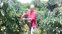 Warga Prancis Terpesona Kebun Kamtibmas di Pulau Sejuta Mistis