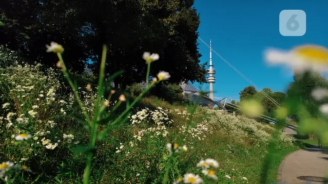 <p>Hasil bidikan kamera Vivo V40 5G dengan fitur Portrait di Olympiapark Munich, Jerman. Liputan6.com/Iskandar</p>