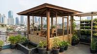 10 Desain Kandang Ayam Tanpa Terlihat Kumuh, Bebas Bau Cocok di Perkotaan