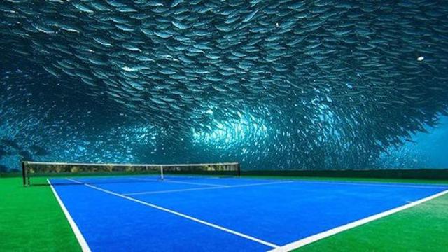 Lapangan Tenis Bawah Laut Pertama di Dunia