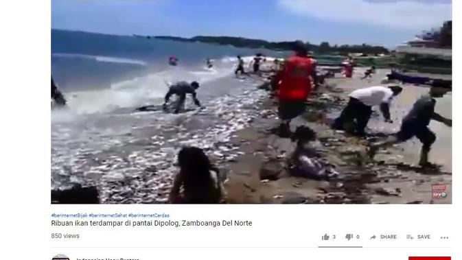 [Cek Fakta] Banjir Ikan Terdampar di Banyuwangi, Fakta atau Hoaks?