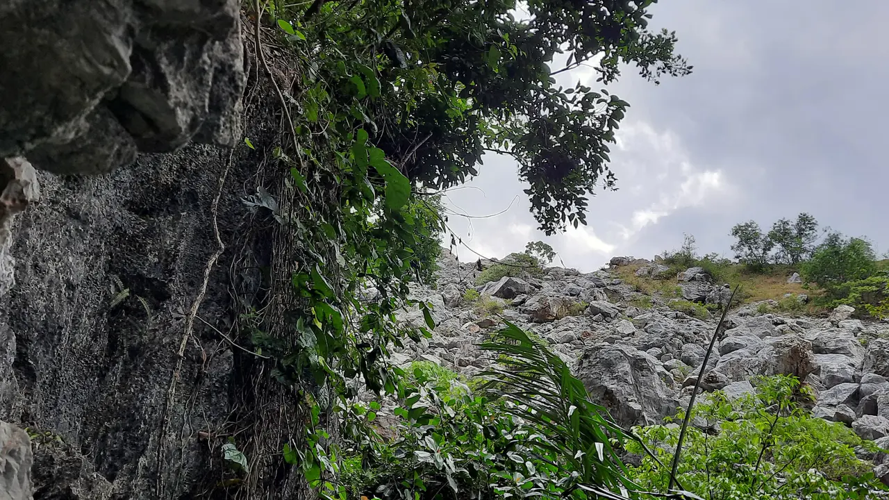 Penampakan kawasan tambang limestone milik PT SBA di Aceh Besar (Liputan6.com/Rino Abonita)