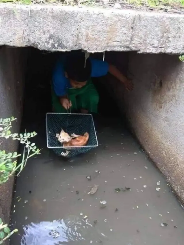 Viral, Aksi Heroik Bocah Nekat Masuk Got untuk Selamatkan Nyawa Anak Kucing
