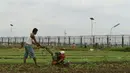 Petani menggemburkan lahan garapannya di area belakang Bandara Soekarno-Hatta, Tangerang, Jumat (6/1). Hasil tani tersebut oleh warga dijual di sejumlah pasar di Tangerang. (Liputan6.com/Angga Yuniar)