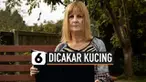 Seorang wanita berusia 65 tahun mengalami koma dan harus masuk ke ruang ICU selama satu bulan penuh hingga kondisinya membaik. Ia mendapatkan luka di tangan akibat cakaran kucingnya.