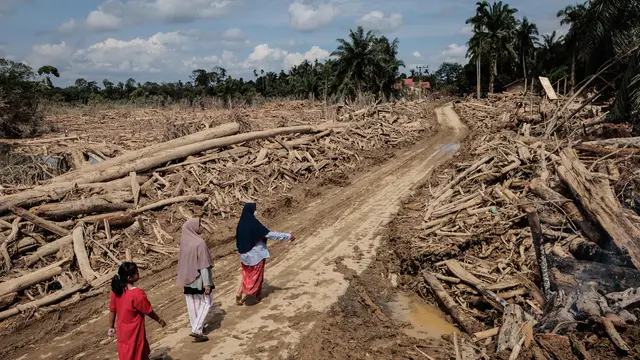 Dua Pekan Pasca Bencana Banjir Bandang Sumatera, Seperti Ini Potret Aceh Tamiang