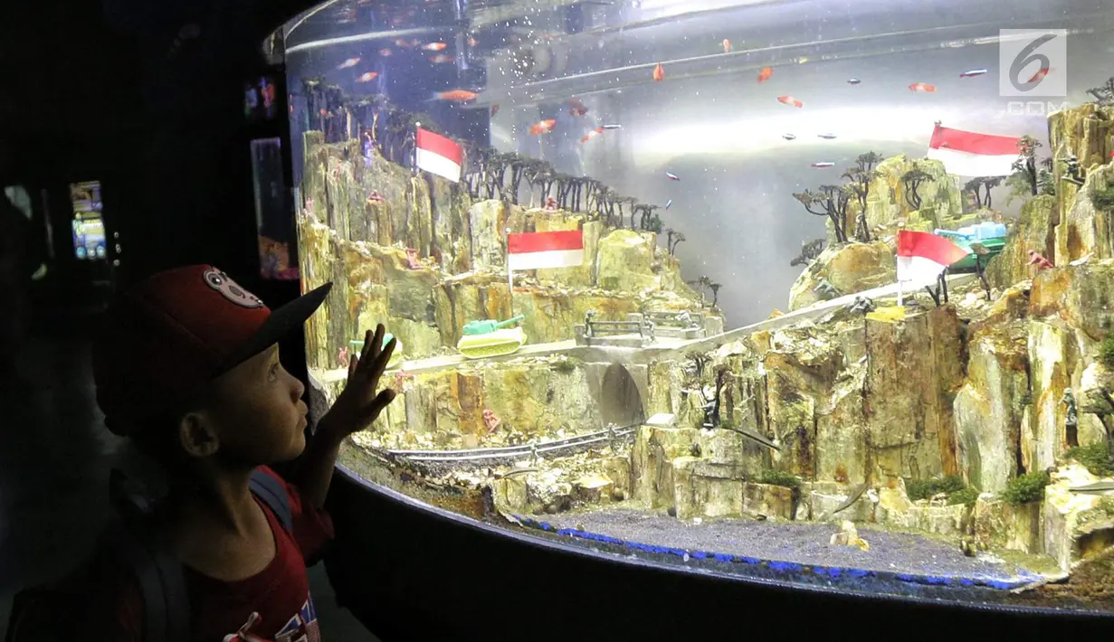 Seorang anak mengamati ikan di akuarium SeaWorld Ancol, Jakarta, Jumat (17/8). Seaworld menjadi tempat wisata alternatif warga saat libur panjang akhir pekan ini yang bertepatan dengan HUT ke-73 Republik Indonesia. (Liputan6.com/Faizal Fanani)