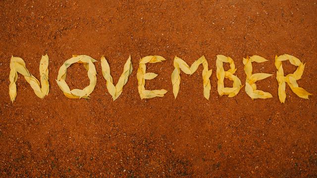Ilustrasi bulan November
