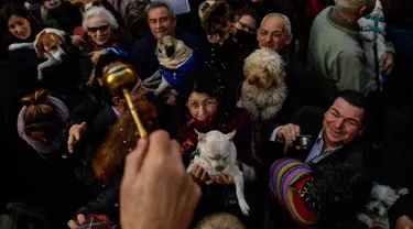 Imam besar, Santiago Fulero memberkati para hewan peliharaan pada peringatan Hari santo Antonius di gereja Saint Pablo, Spanyol, Rabu (17/1). Pada perayaan tahunan itu, para pemilik membawa hewan peliharaan untuk diberkati pastor. (AP/Alvaro Barrientos)