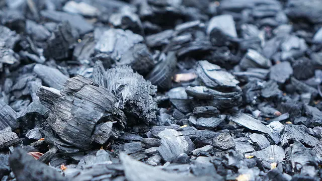 Charcoal