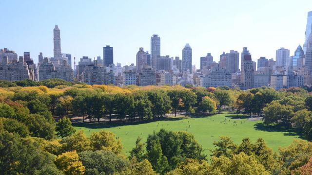 4 Negara dengan Destinasi Hutan di Tengah Kebisingan Kota