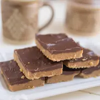 Ilustrasi peanut butter bars./Copyright shutterstock.com/g/A.L