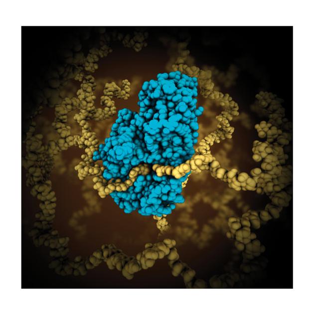 Cara Kerja Enzim Sifat Kimia Penghambat Dan Macam Macamnya Hot Liputan6 Com