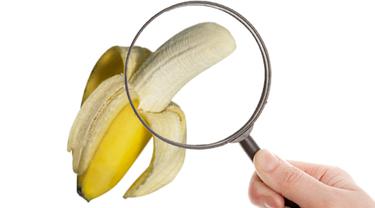 Ilustrasi Penis