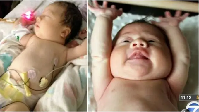 Photo copyright Dailymail.co.uk