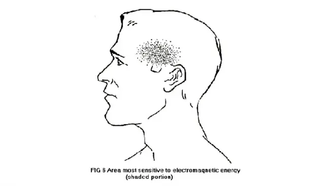 Bagian yang berwarna gelap adalah bagian pada kepala manusia yang paling peka terhadap gelombang mikro. (Sumber Allan H. Frey)