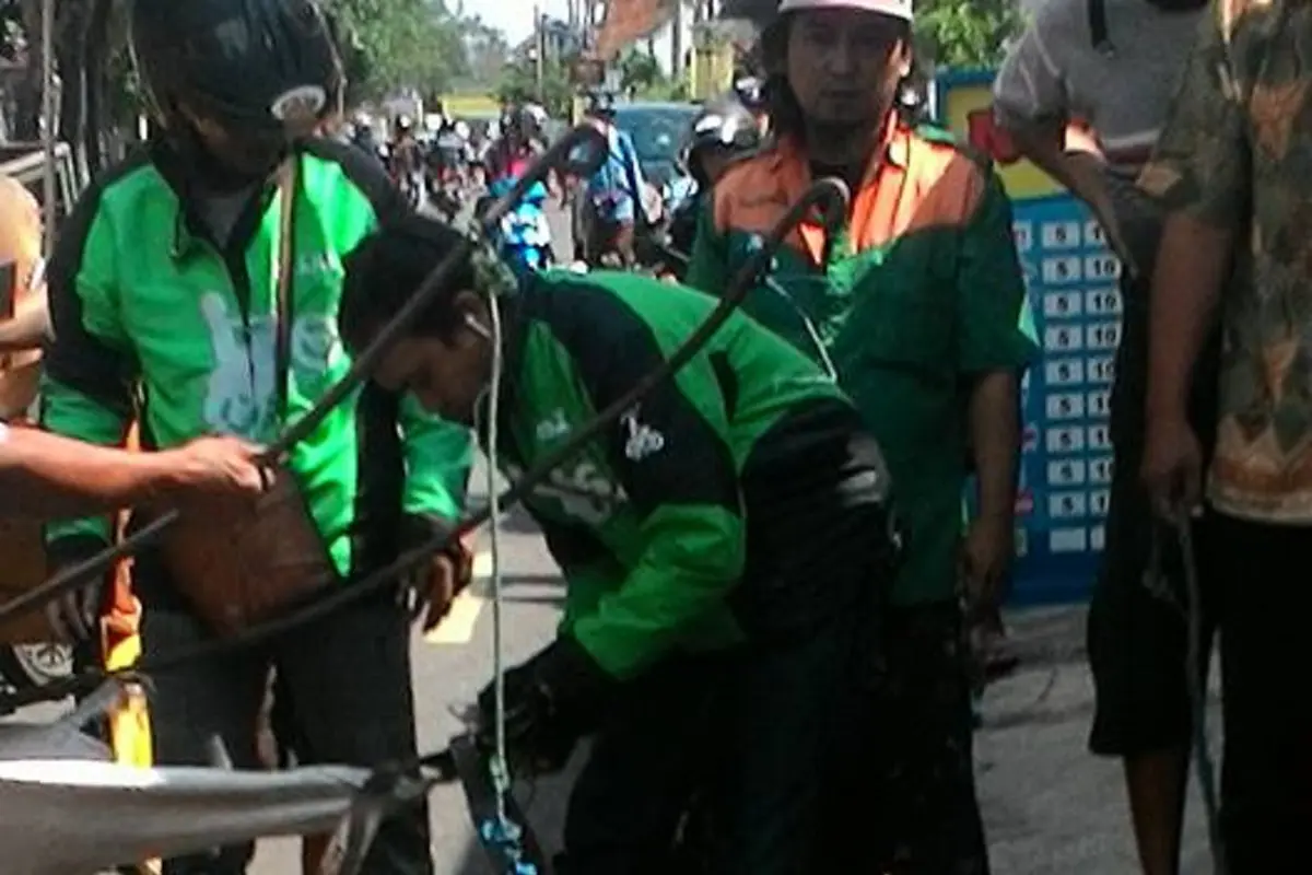 [Bintang] Kuda jatuh pingsan