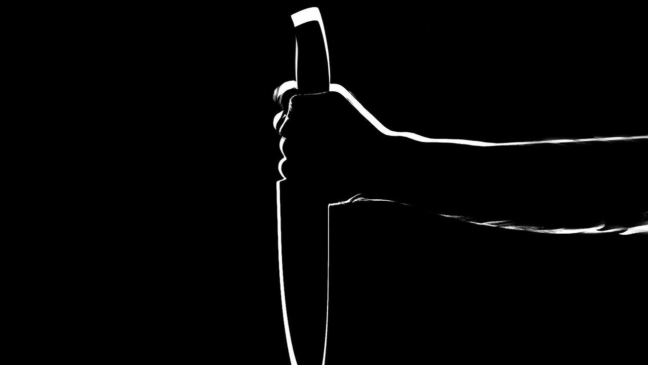 Ilustrasi pisau (pixabay)