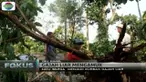 Gajah mengamuk di Oku, Sumatera Selatan, rusak pondok hingga tewaskan seorang warga.