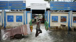 Seorang warga melitasi banjir yang menggenangi Kawasan Muara Angke, Jakarta, Rabu (11/1). Banjir yang terjadi hampir setiap hari dalam satu bulan terakhir akibat rob yang diperparah dengan jebolnya tanggul. (Liputan6.com/Gempur M. Surya)