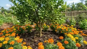 7 Tanaman Pendamping yang Cocok Ditanam Bersama Jeruk Nipis agar Kebun Lebih Produktif