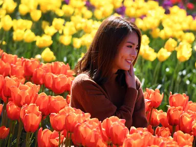 Seorang wanita berpose di antara bunga tulip selama Tesselaar Tulip Festival di Silvan, Dandenong Ranges, Melbourne (27/9). Pengunjung antusias melihat lebih dari satu juta warna-warni bunga, termasuk 900.000 tulip. (AFP Photo/William West)