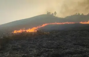 Bromo Terbakar Lagi, Akses Wisata via Jemplang Ditutup