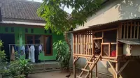 7 Desain Kandang Ayam Teduh Anti Panas, Solusi Optimal untuk Iklim Desa yang Terik
