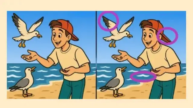 Temukan 3 Perbedaan Menarik dalam Dua Gambar, Uji Ketelitian Mata Kamu