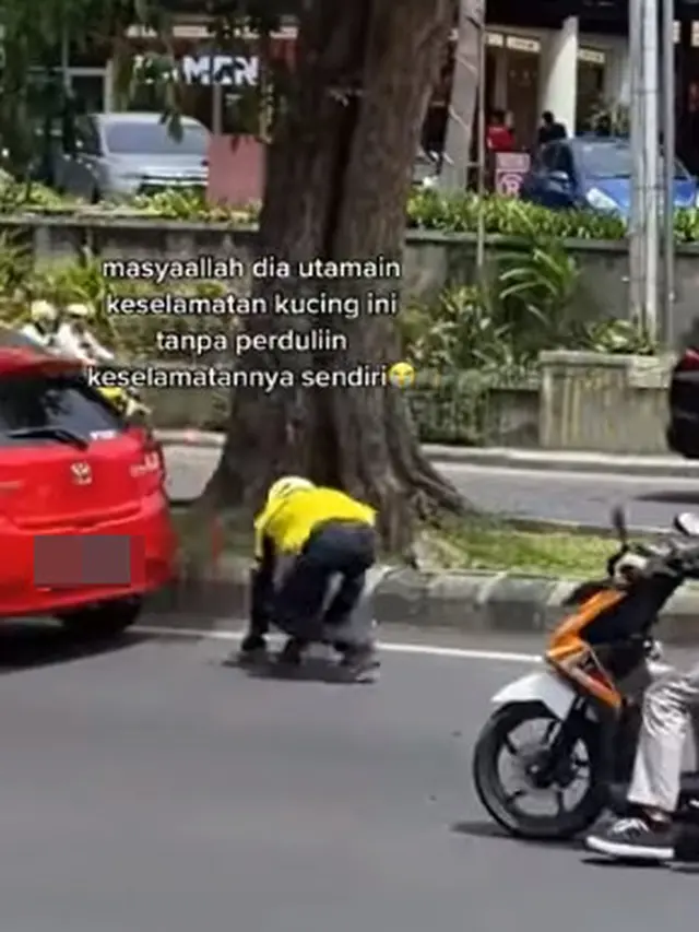 Driver ojol berlarian selamatkan kucing (Instagram/@memomedsos)