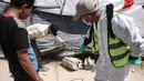 Sebagai informasi, menurut UNRWA, hampir 1,9 juta warga Palestina di Jalur Gaza telah mengungsi secara paksa sejak Oktober 2023. Tampak dalam foto, seorang pengungsi Palestina menyemprotkan cairan disinfektan pada jalan setapak dan tenda-tenda untuk membasmi serangga dan hewan pengerat di kamp pengungsian Khan Yunis, Jalur Gaza Selatan pada Rabu 22 April 2026. (Bashar Taleb/AFP)
