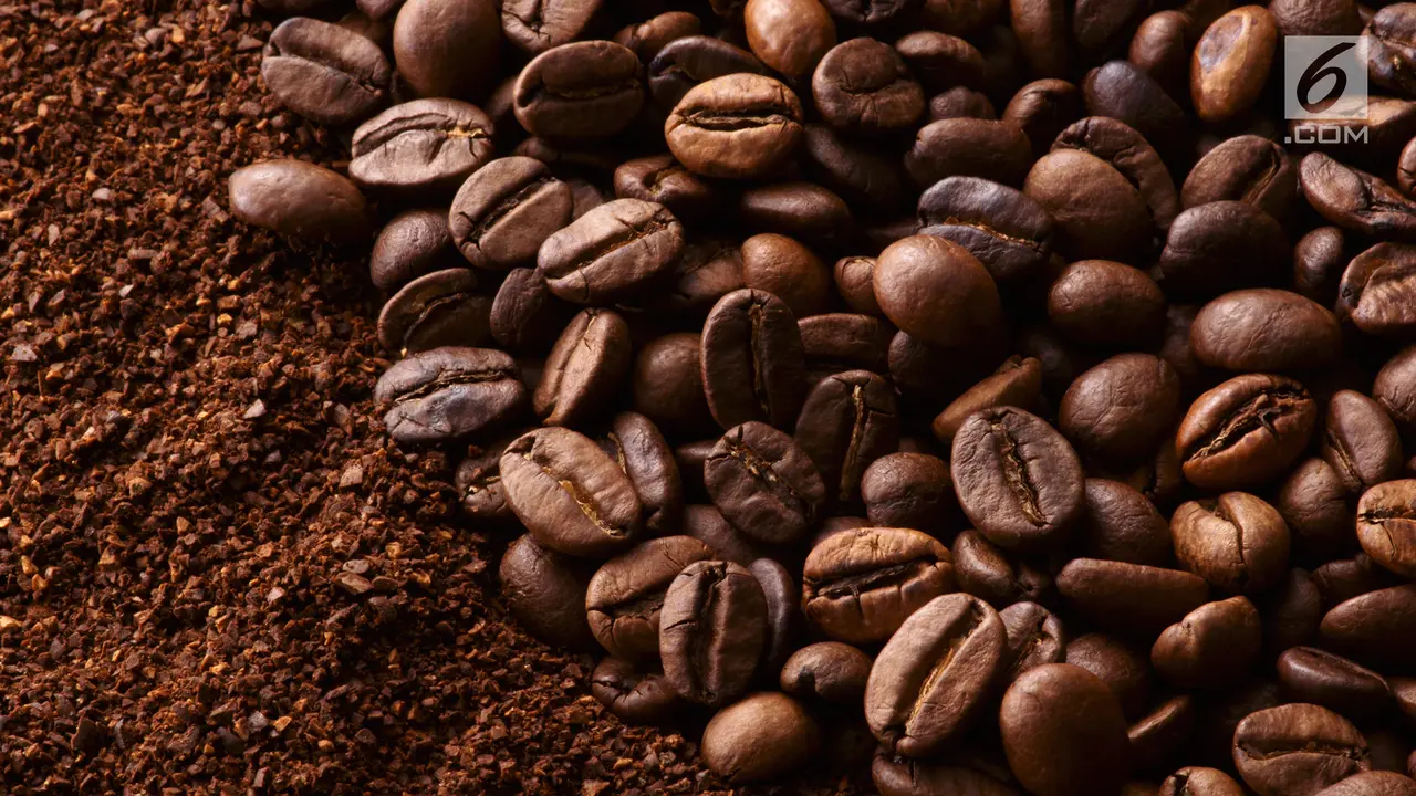 Biji Kopi